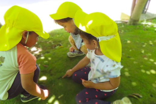 ひよっこ保育室(東京都江東区)