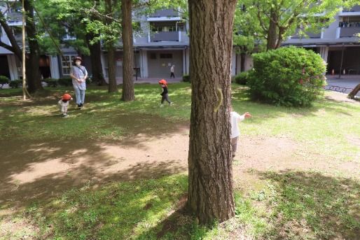 ひよっこ保育室(東京都江東区)