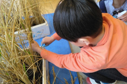 リサ保育園(千葉県船橋市)