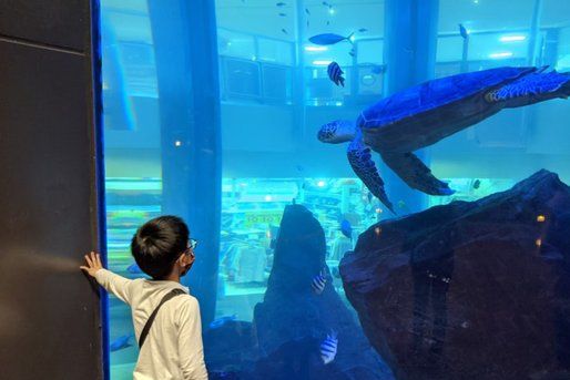 Happinesskids 下原(福岡県福岡市東区)