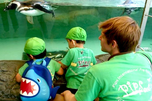 Pipsインターナショナルスクール深沢(東京都世田谷区)