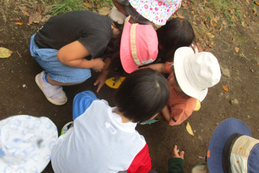 砧保育園(東京都世田谷区)