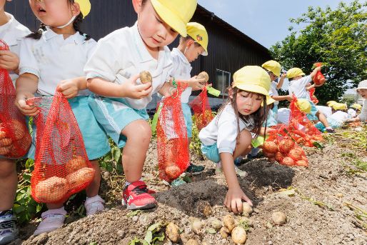 かつらのみや保育園(京都府京都市西京区)
