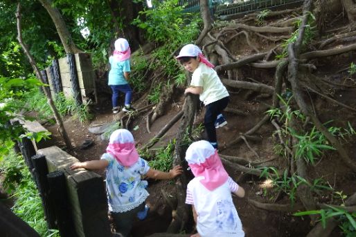 ホームマミーおくさわ(東京都世田谷区)
