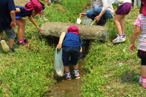 慶櫻市野谷保育園(千葉県流山市)