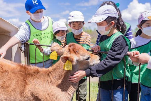 つなしまみらい広場『ひかり』ソレイユ(神奈川県横浜市港北区)