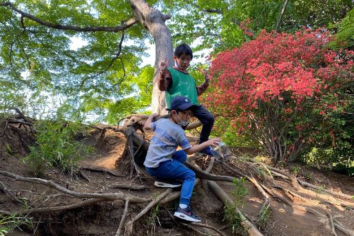 つなしま みらい広場『ひかり』(神奈川県横浜市港北区)