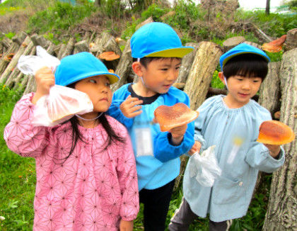 2024年最新】認定こども園第2はくちょう幼稚園の求人・転職・募集情報(保育教諭/正社員)-北海道苫小牧市【保育士バンク！】