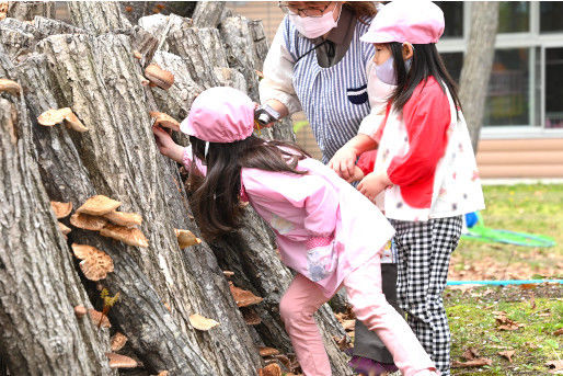 2024年最新】認定こども園はくちょう幼稚園の求人・転職・募集情報(保育補助/パート・アルバイト)-北海道苫小牧市【保育士バンク！】