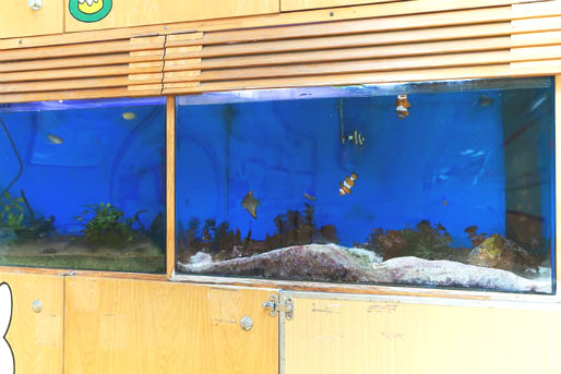 至急！水槽取りに来て頂ける方！